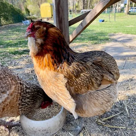 Apartament Elbsegler Bleckede