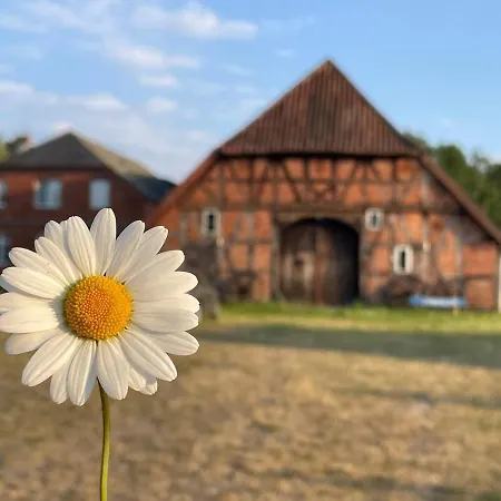 Elbsegler