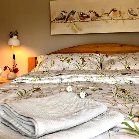 Elbsegler Apartament