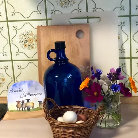 Elbsegler Appartement *